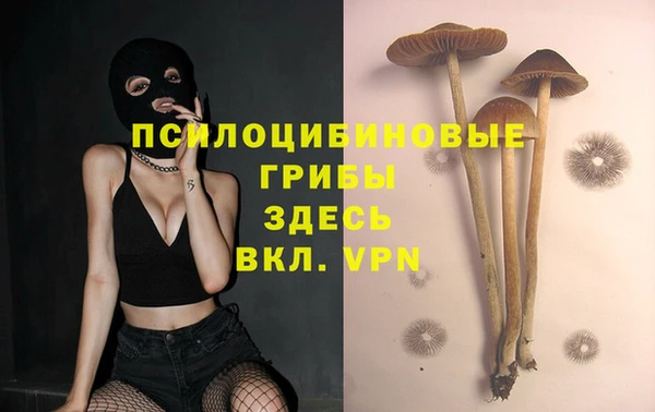 spice Краснотурьинск