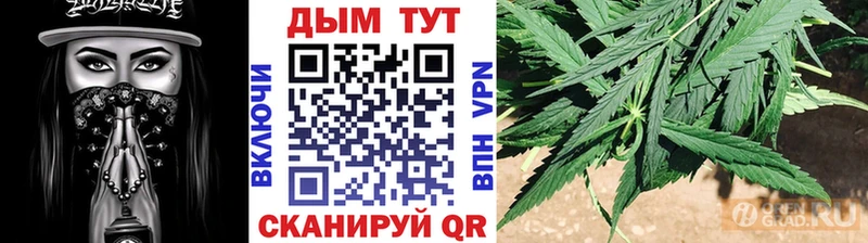 Шишки марихуана ГИДРОПОН  Купить где  Моздок 